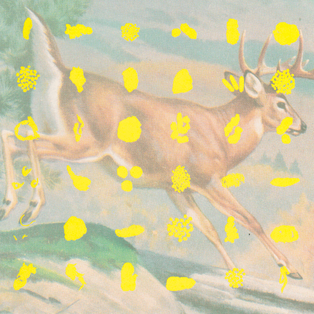 Cover image for Fields and Streams