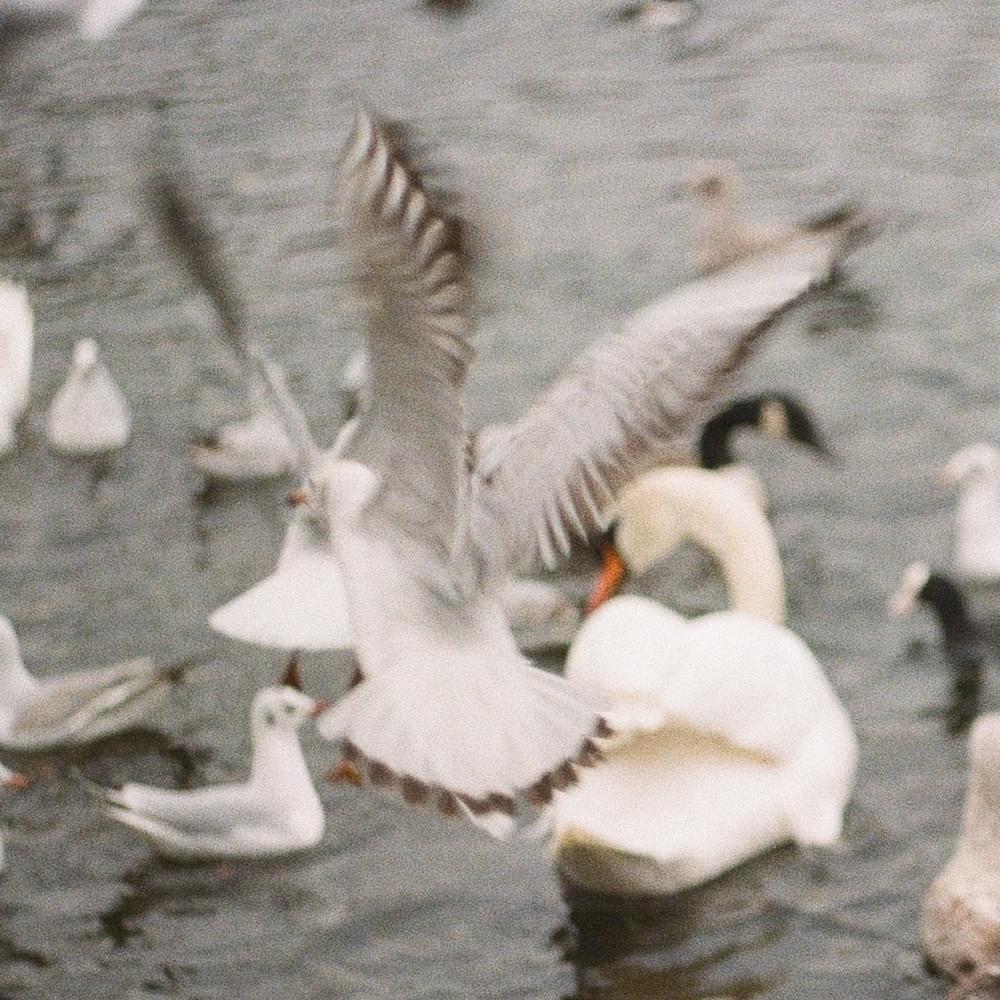 On Possession by Sea Oleena