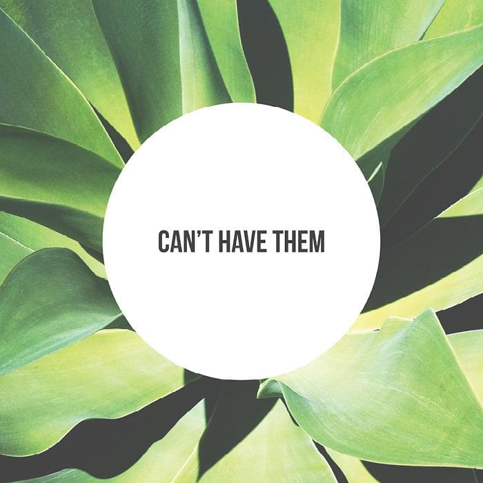 Album cover art for "Can’t Have Them" by Hockey Dad