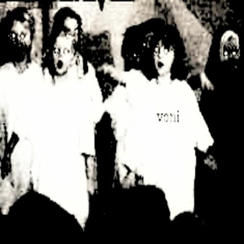 Cover image for voni