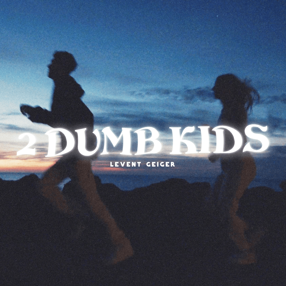 Album cover art for "2 Dumb Kids" by Bravo Hits