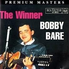 Cover image for The Winner