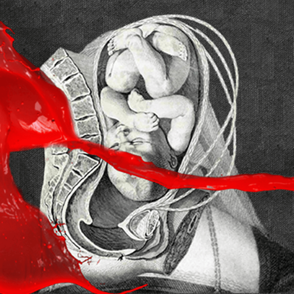 Cover image for The Unified Field