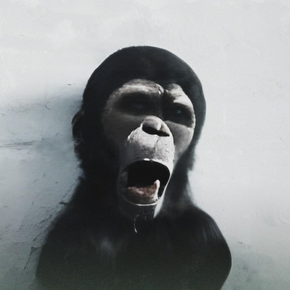 Album cover art for "Обезьяна (Monkey)" by Date Rape Drug & пош гнаш (posh gnash)
