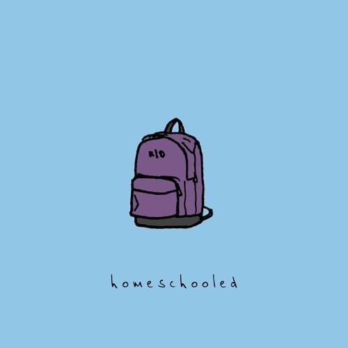 Cover image for Homeschooled