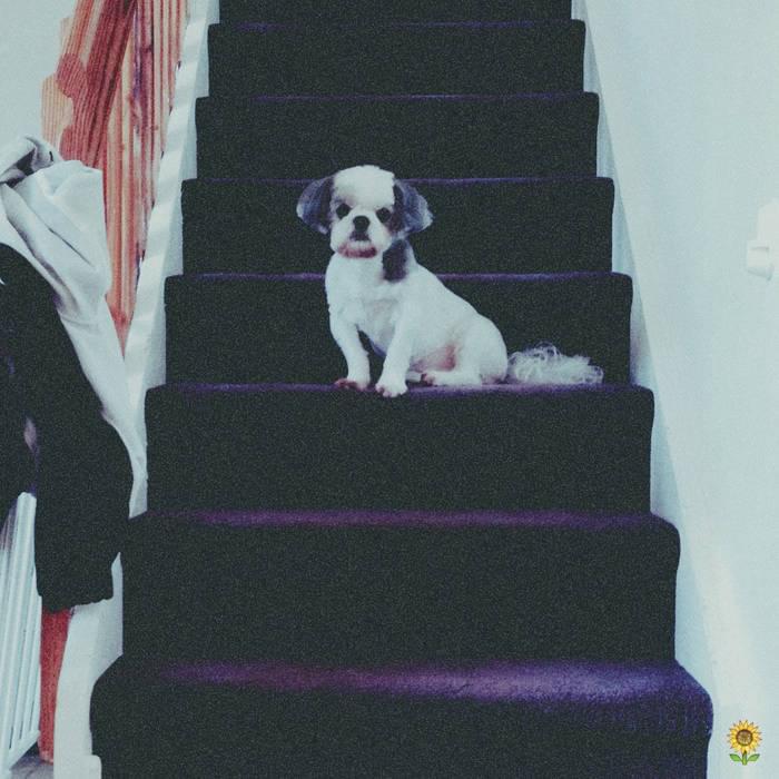 Album cover art for "Midnight" by Twelve’len