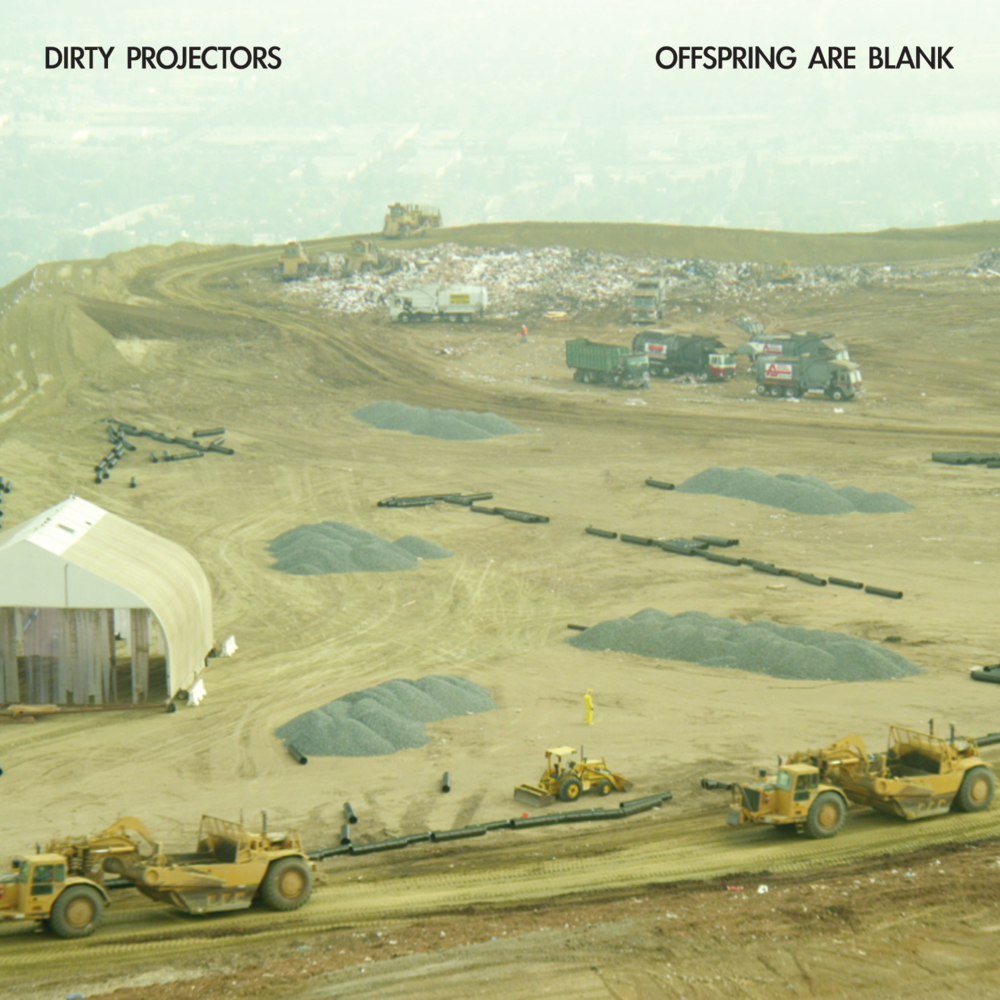 Cover image for Offspring Are Blank