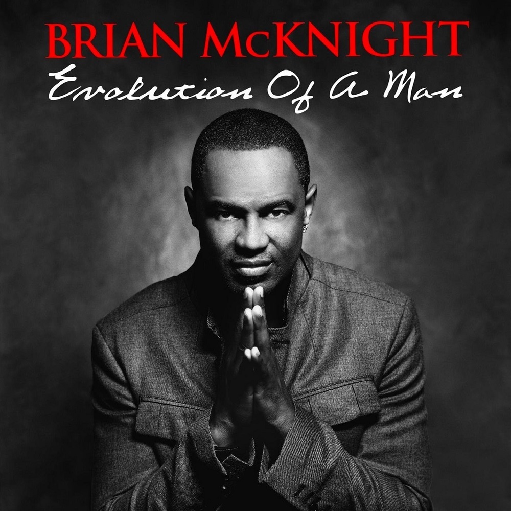 Album cover art for "While" by Brian McKnight