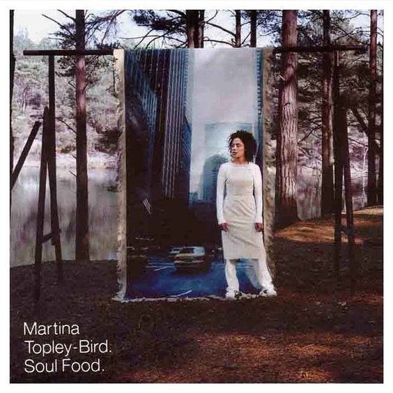 Album cover art for "Soul Food" by Martina Topley-Bird