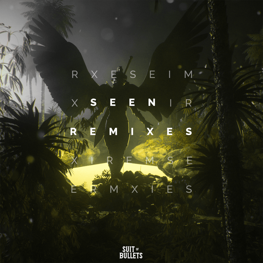 Cover image for Seen [Remixes]