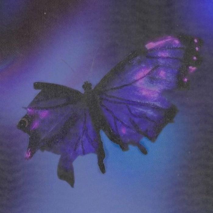 Album cover art for "BUTTERFLY" by NO SKAT