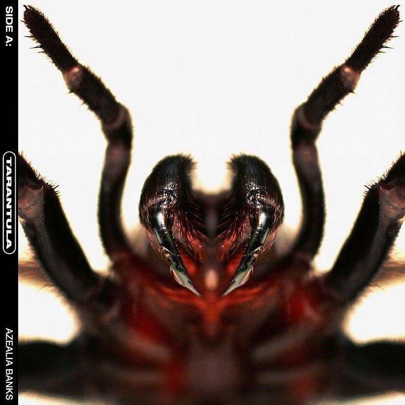 Album cover art for "Tarantula" by Azealia Banks