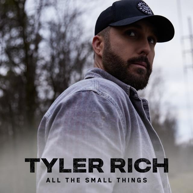 Album cover art for "All The Small Things" by Tyler Rich