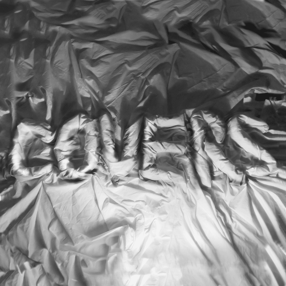 Cover image for TRAVIS COVERS