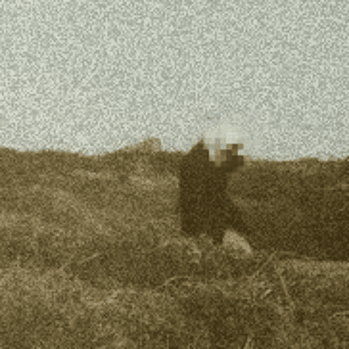 Cover image for GREAF
