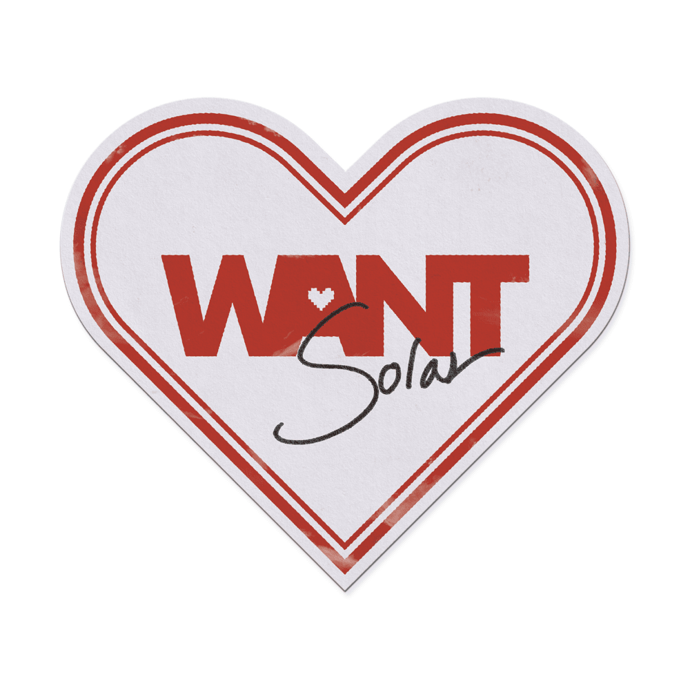 Cover image for WANT