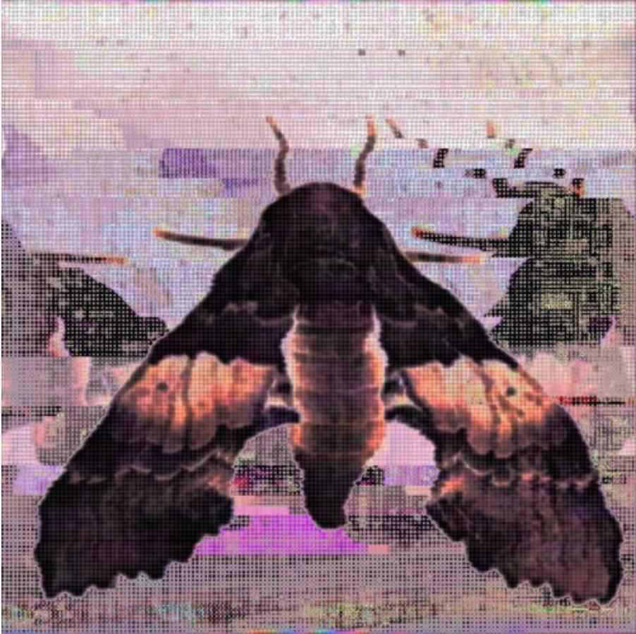 Album cover art for "Make It Home" by LiL Lotus