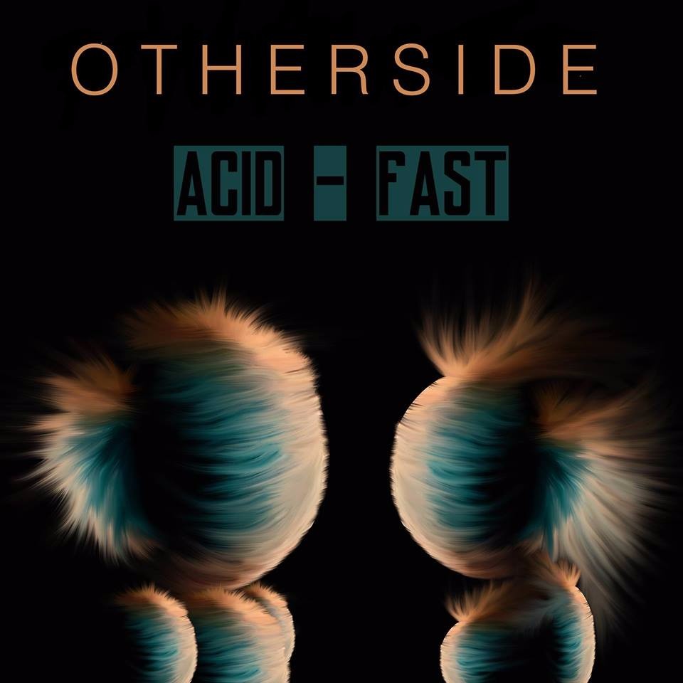 Otherside Profile Picture Photo of Otherside