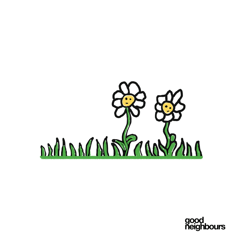 Album cover art for "Daisies" by Good Neighbours