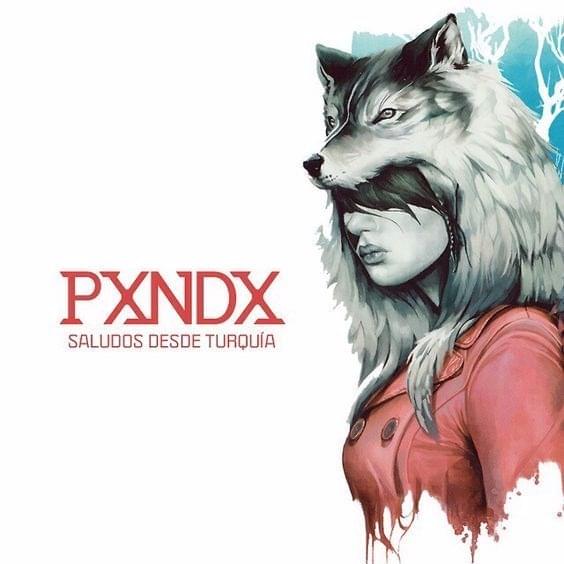 Album cover art for "Saludos Desde Turquía" by PXNDX