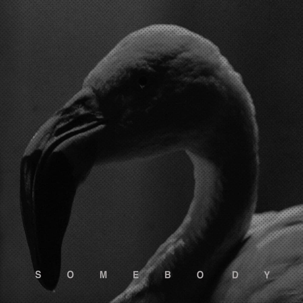 Album cover art for "Somebody" by Hurts