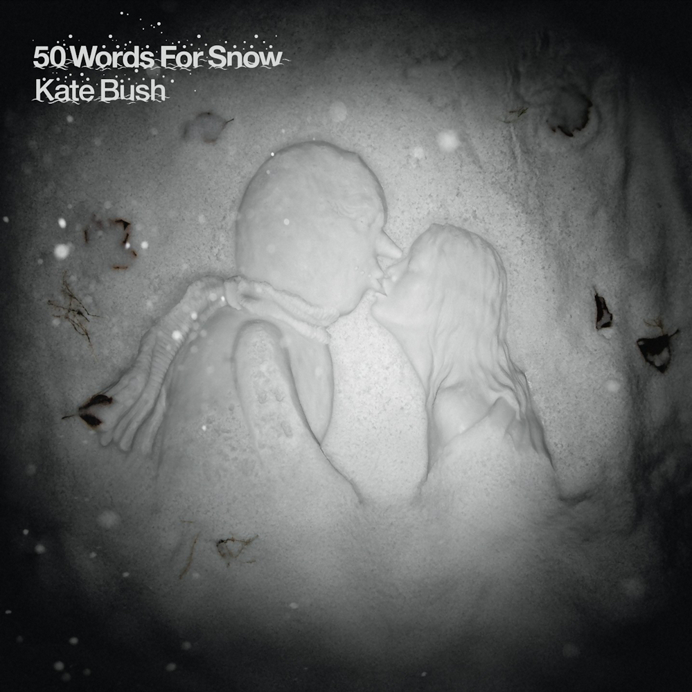 Cover image for 50 Words for Snow
