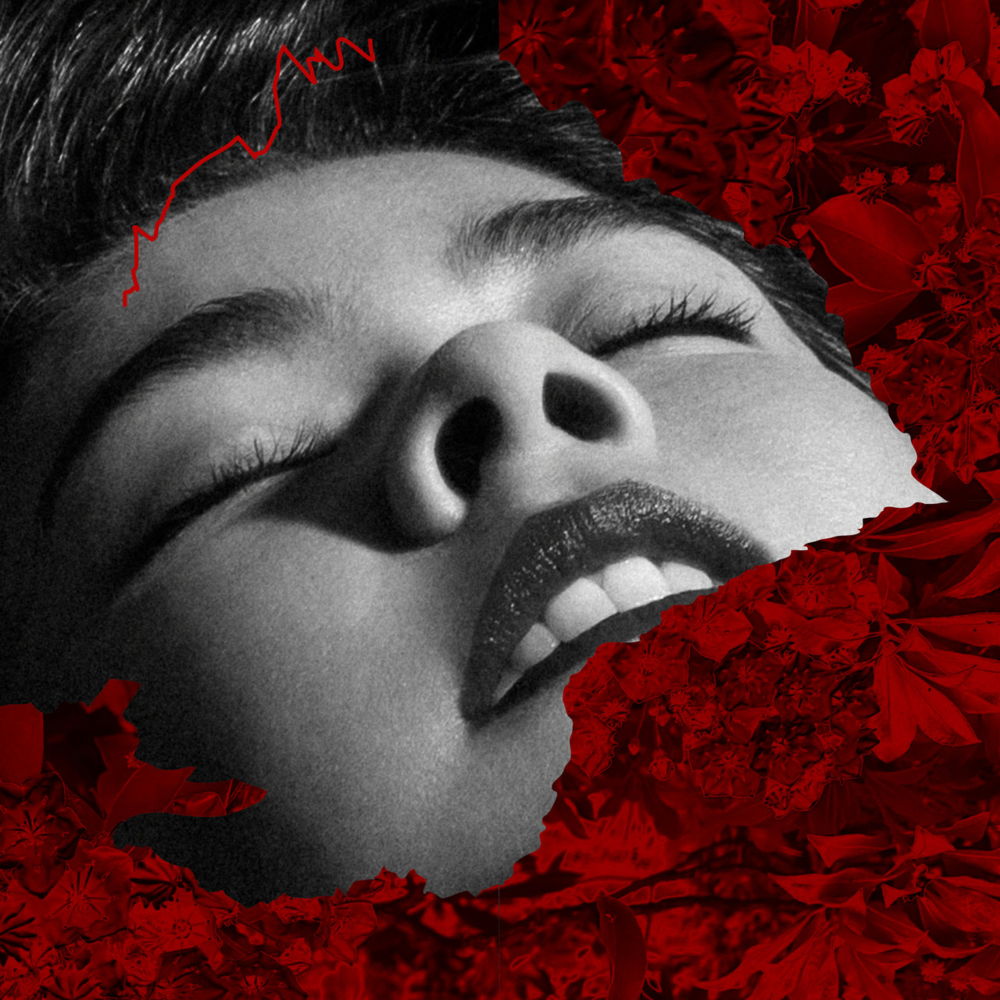 Album cover art for "Agree to Disagree" by Mitski