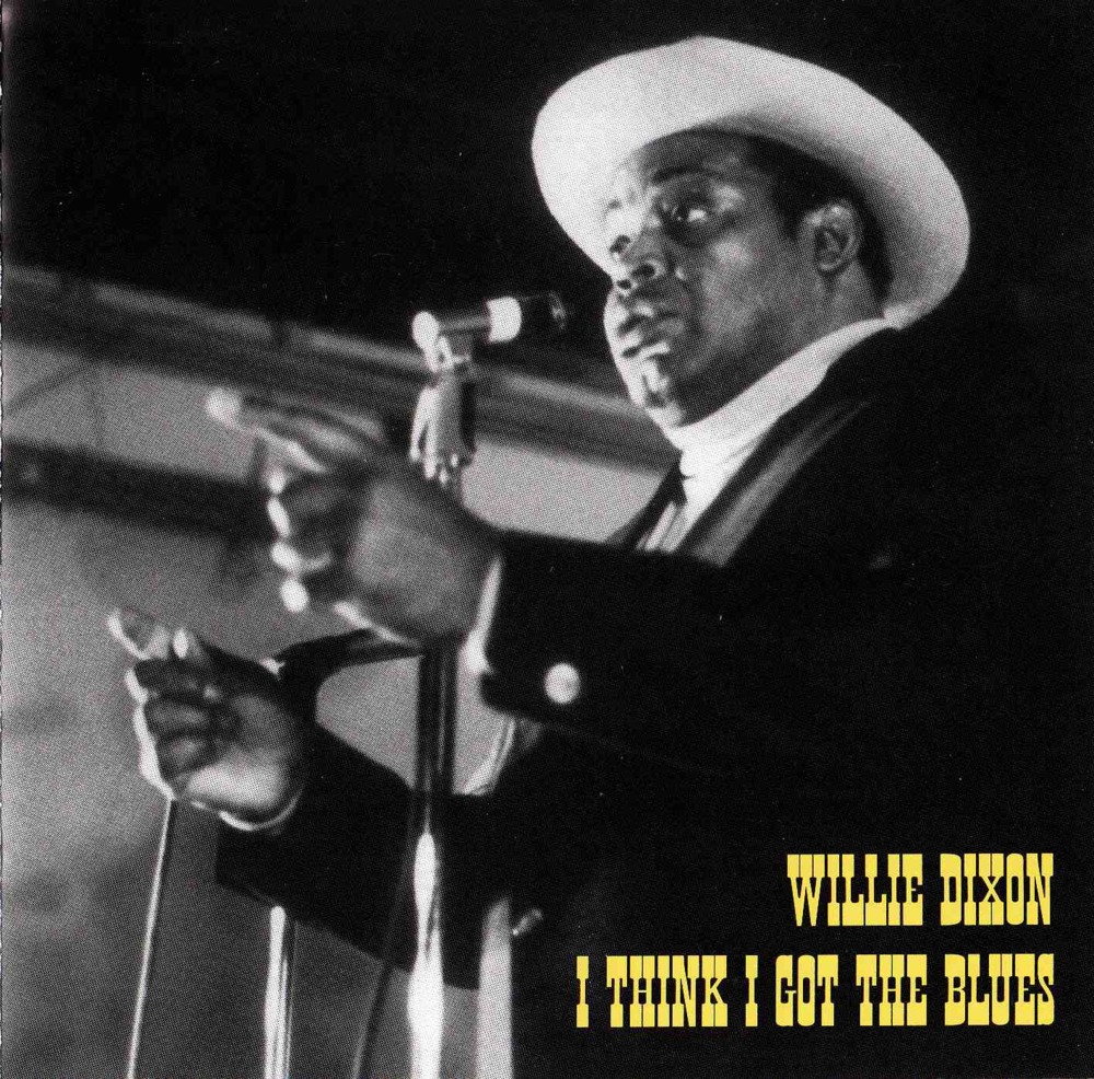 Cover image for I Think I Got the Blues