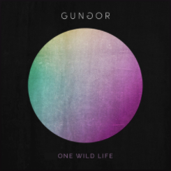 Cover image for One Wild Life