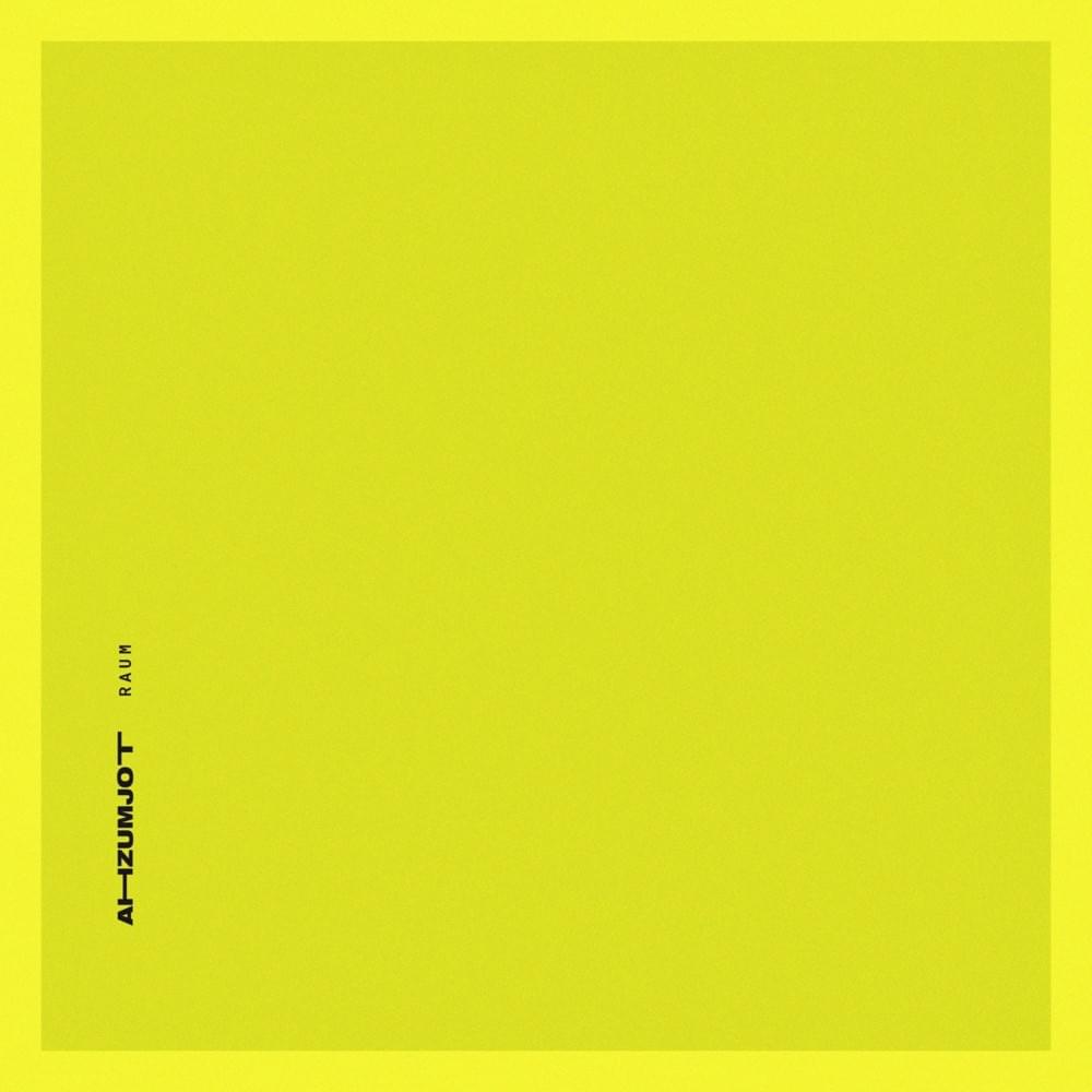 Cover image for RAUM