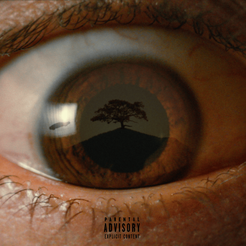 Album cover art for "baum" by CRO