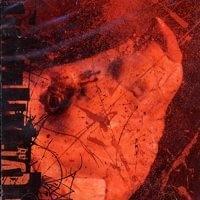 The Gestation Process by Martyr A.D.