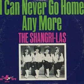 Cover image for I Can Never Go Home Any More