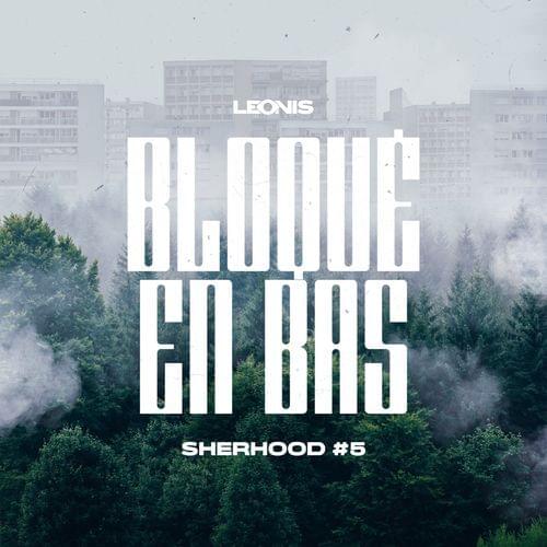 Album cover art for "Bloqué en bas (Sherhood #5)" by Leonis