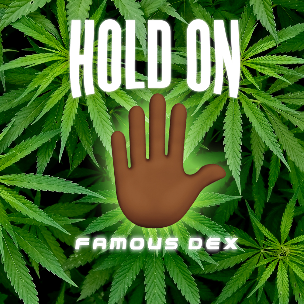 Album cover art for "Hold On" by Famous Dex