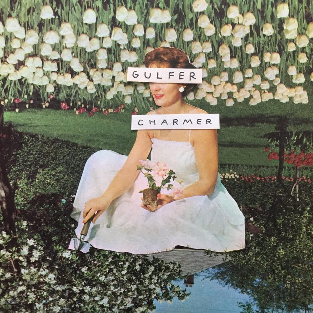 Cover image for Gulfer / Charmer Split
