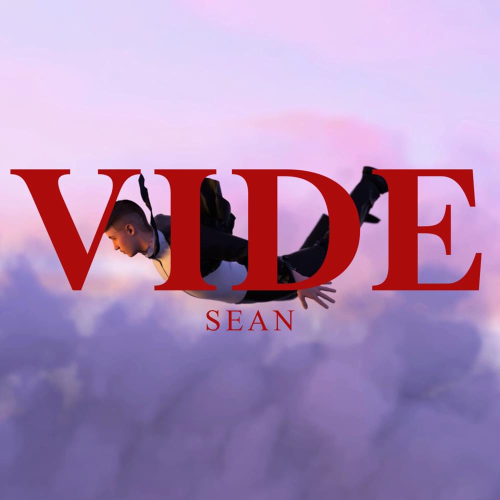 Album cover art for "Vide" by sean