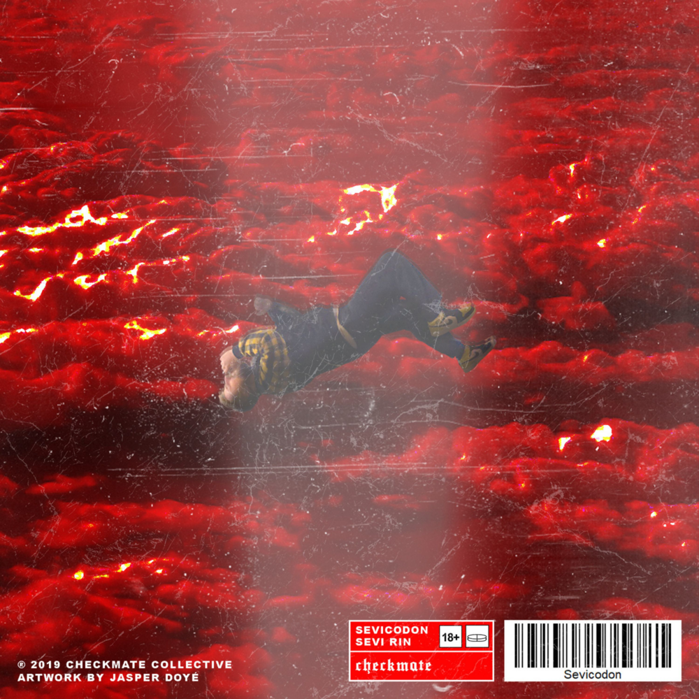 Album cover art for "Süchte" by Sevi Rin