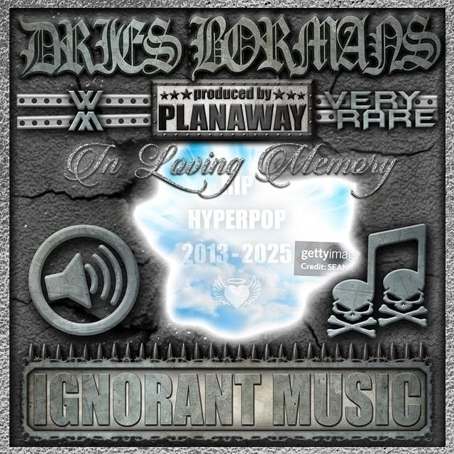 Cover image for Ignorant music