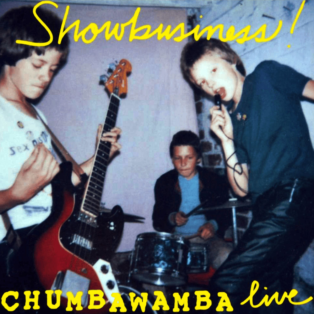 The Day The Nazi Died by Chumbawamba