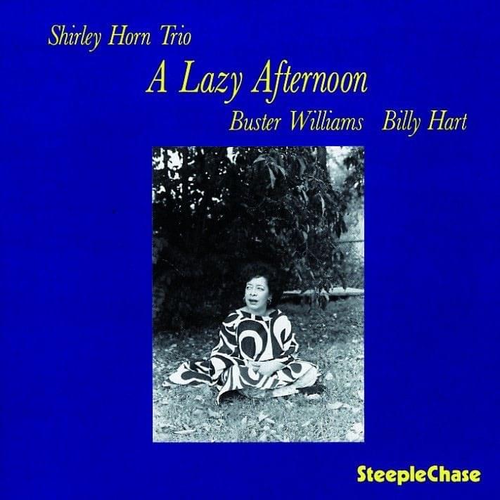Cover image for A Lazy Afternoon