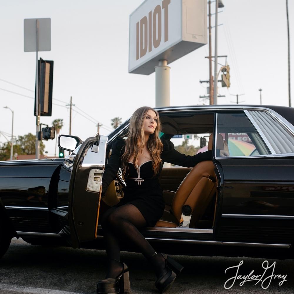 Cover image for Taylor Grey