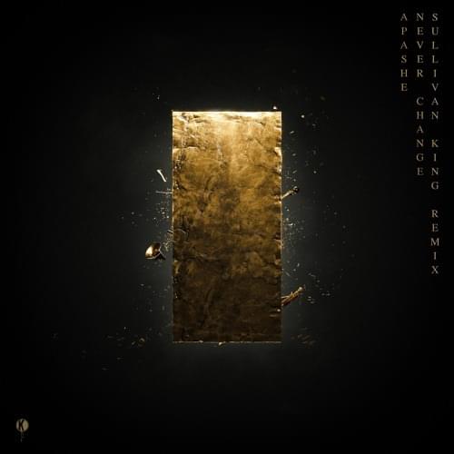 Album cover art for "Never Change (Sullivan King Remix)" by Apashe