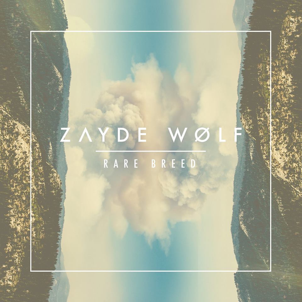 Heroes by Zayde Wolf