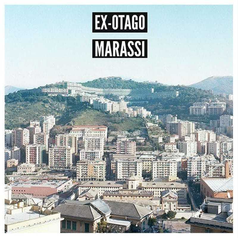 Mare by Ex-Otago