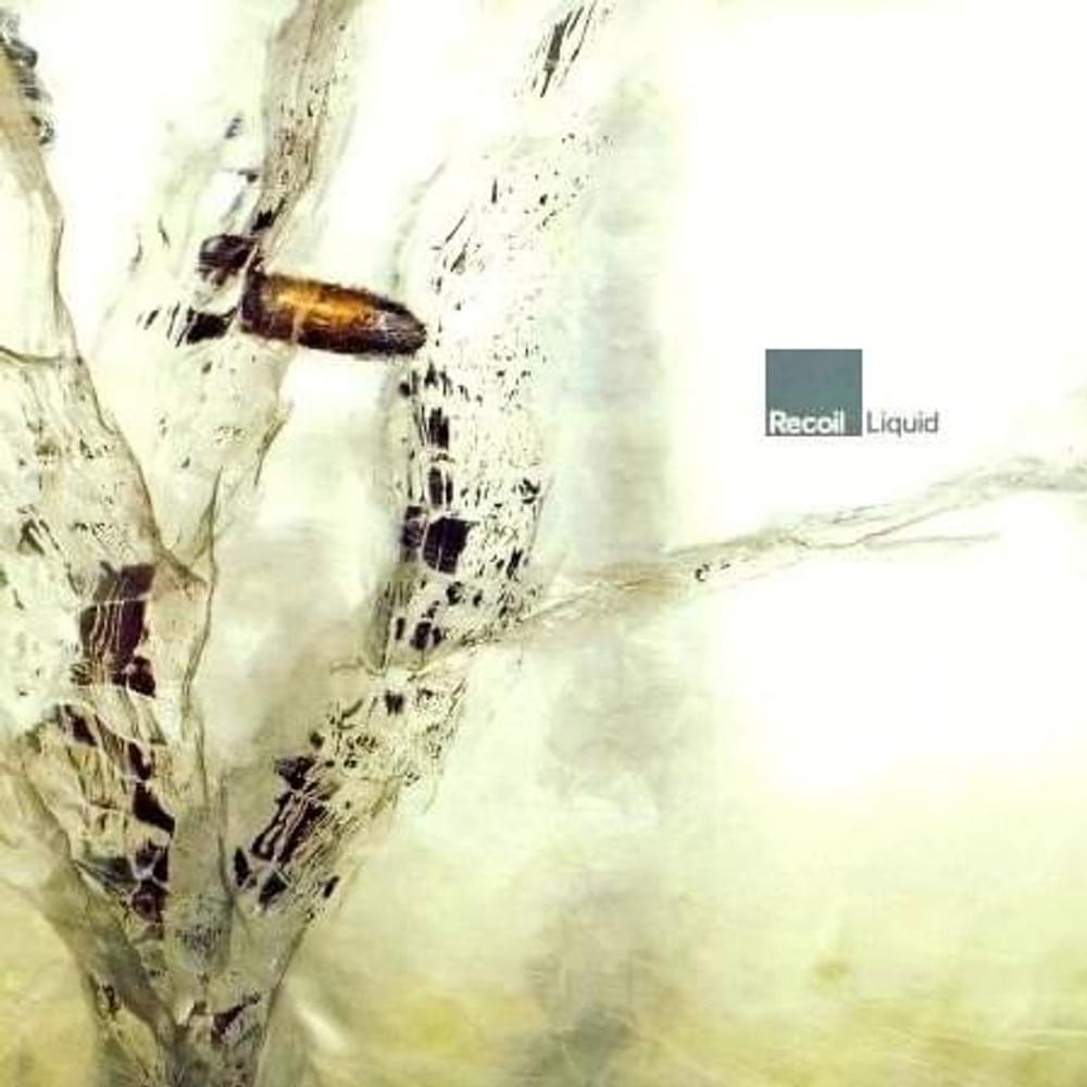 Album cover art for "Vertigen" by Recoil