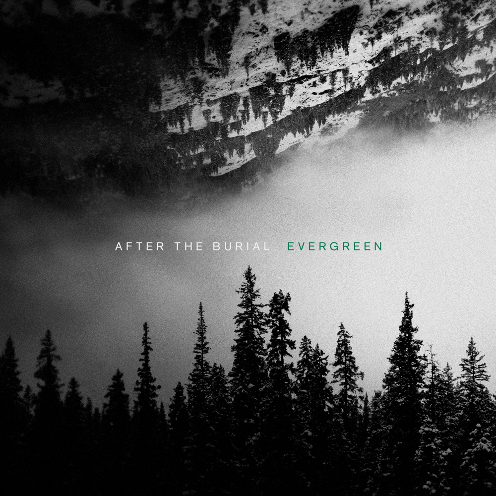 Cover image for Evergreen