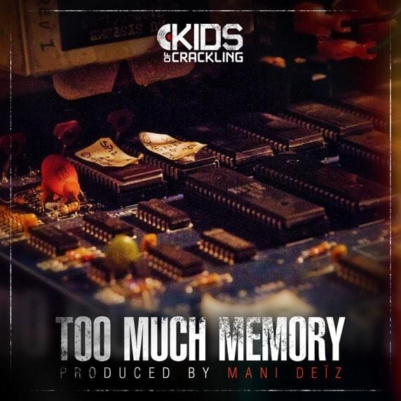 Cover image for Too Much Memory