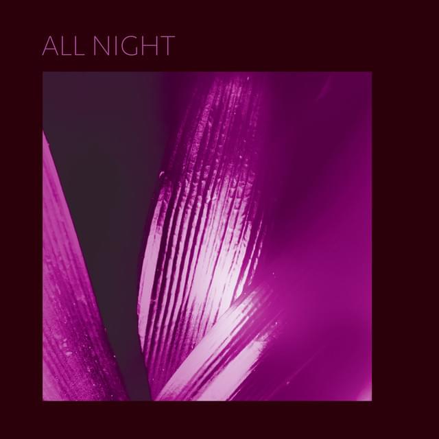 All Night by Pure Bathing Culture