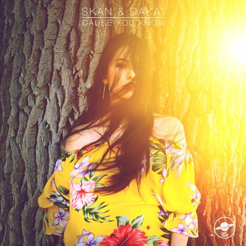 Album cover art for "Cause You Know" by Skan